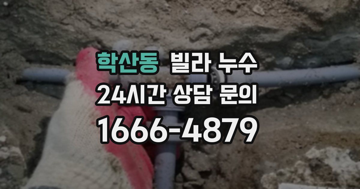 학산동 빌라 누수