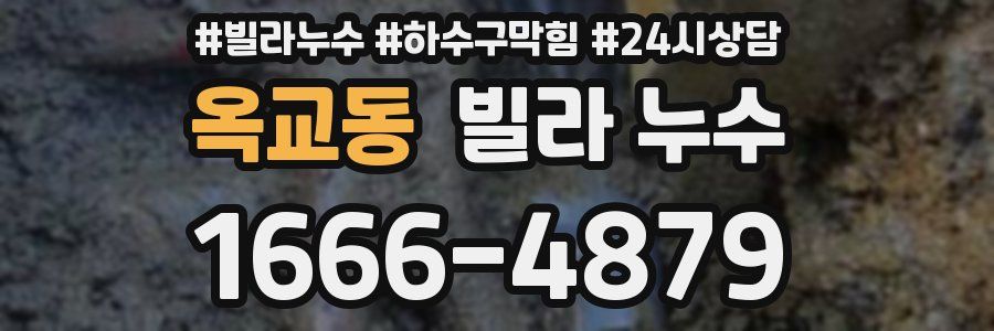 옥교동 빌라 누수