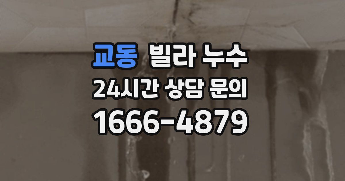 교동 빌라 누수