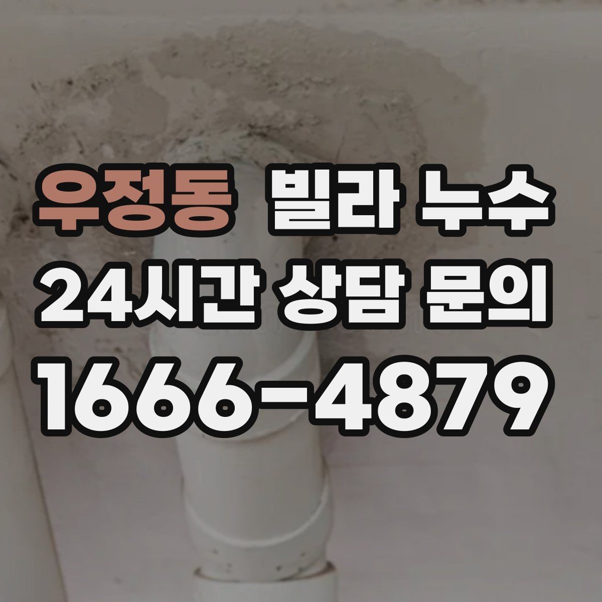 우정동 빌라 누수 우편함 주변이 젖는다면 빗물 유입 가능성