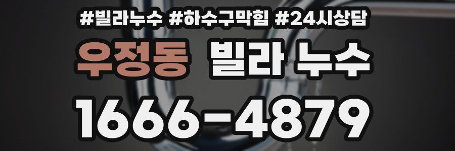 우정동 빌라 누수