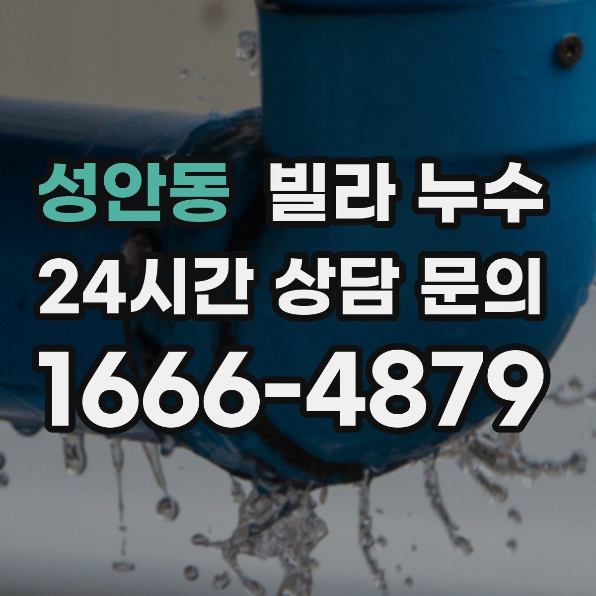 성안동 빌라 누수 변기 주변 물고임이 계속된다면