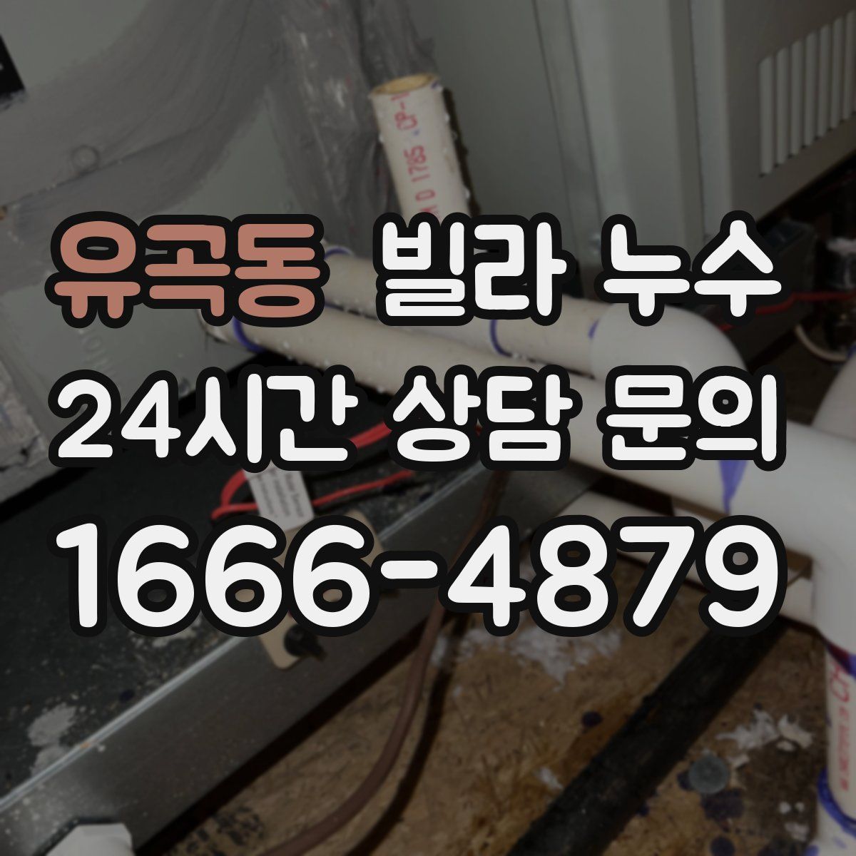 유곡동 빌라 누수