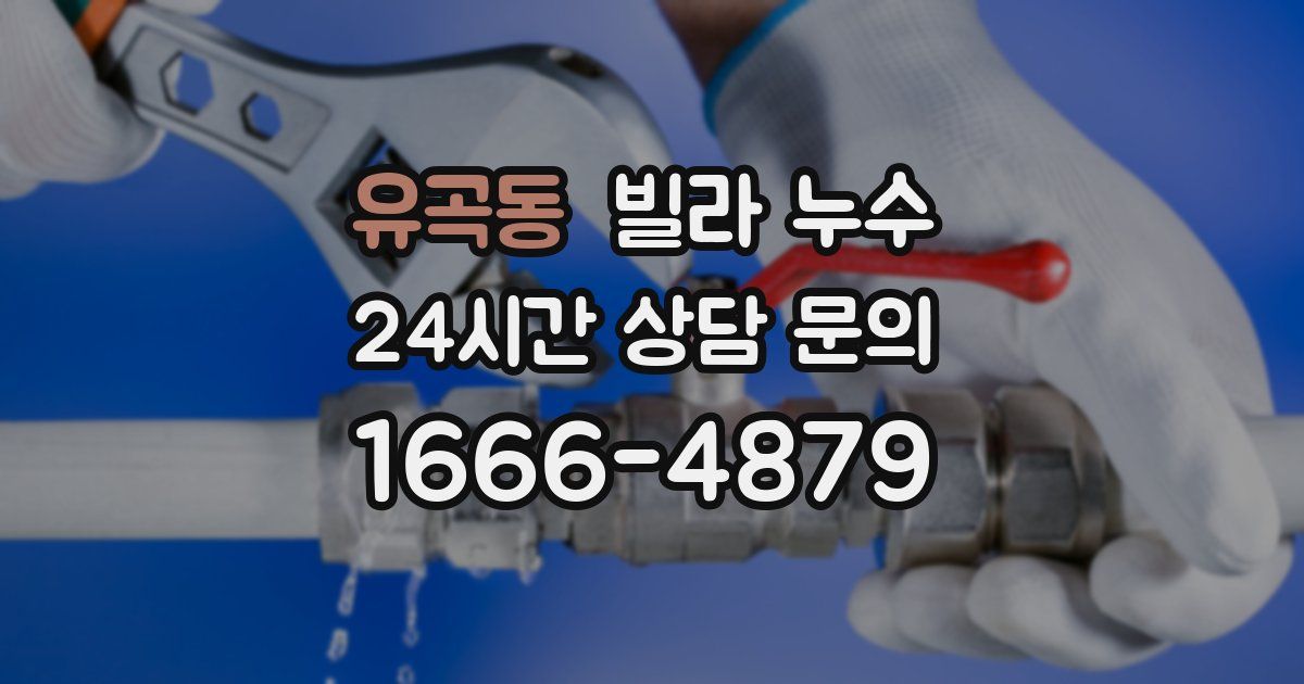유곡동 빌라 누수