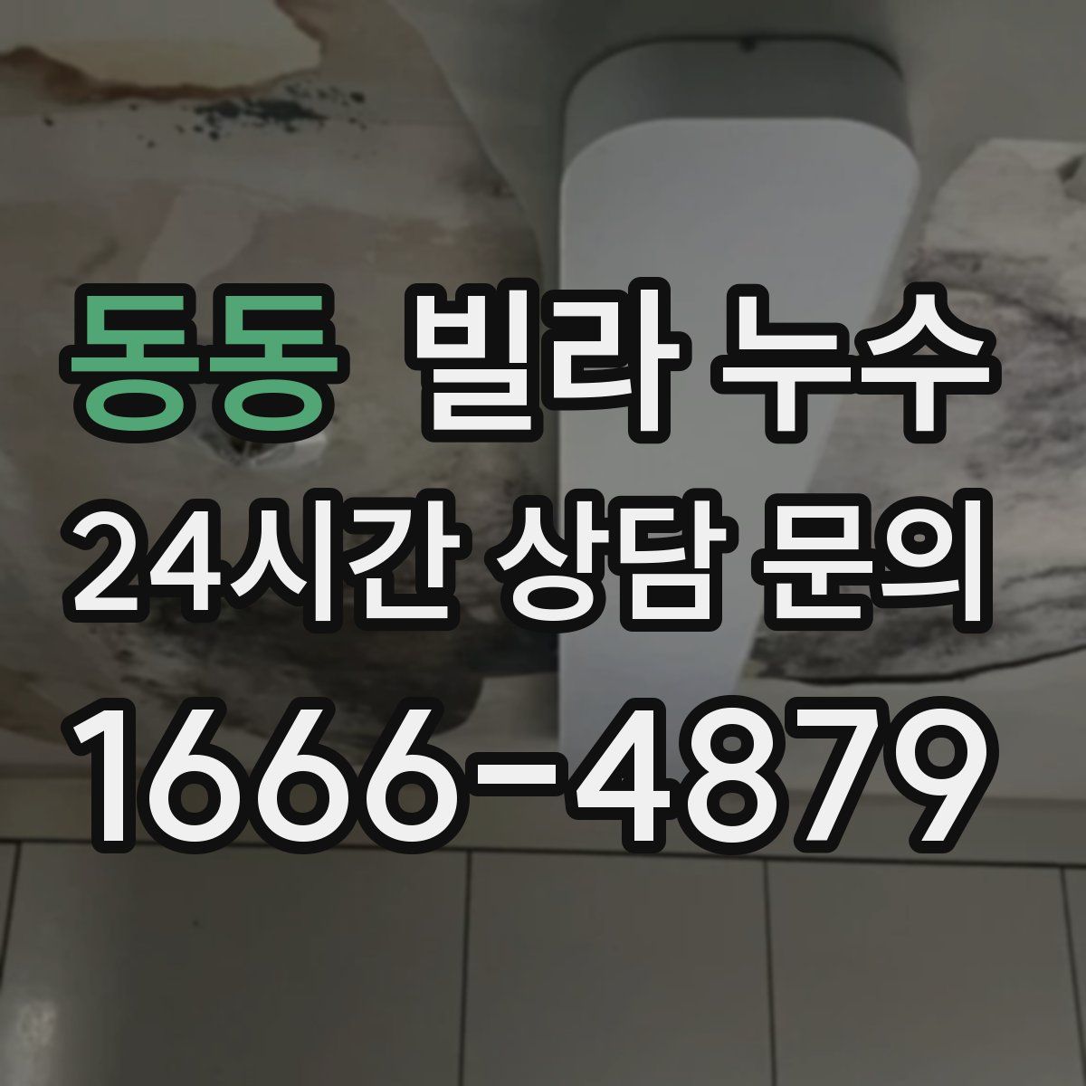 동동 빌라 누수
