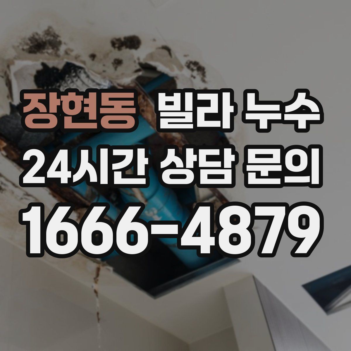 장현동 빌라 누수 누수 의심되면 하지 말아야 할 행동
