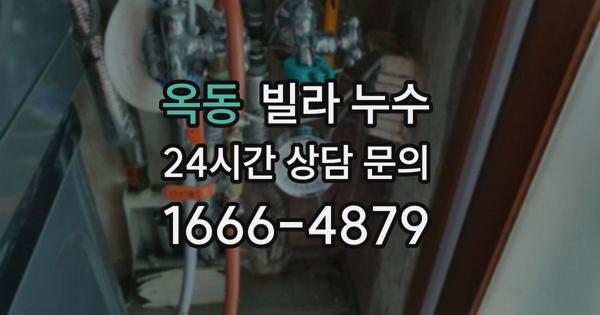 옥동 빌라 누수