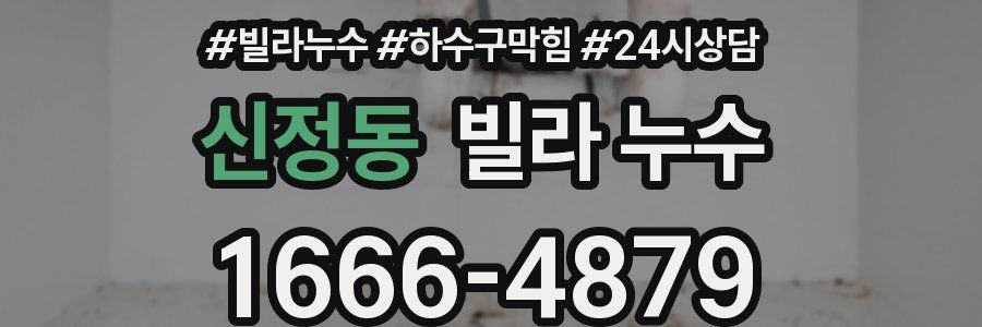 신정동 빌라 누수