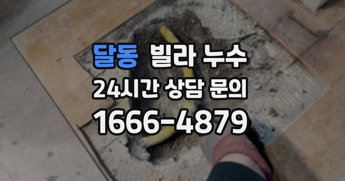 달동 빌라 누수