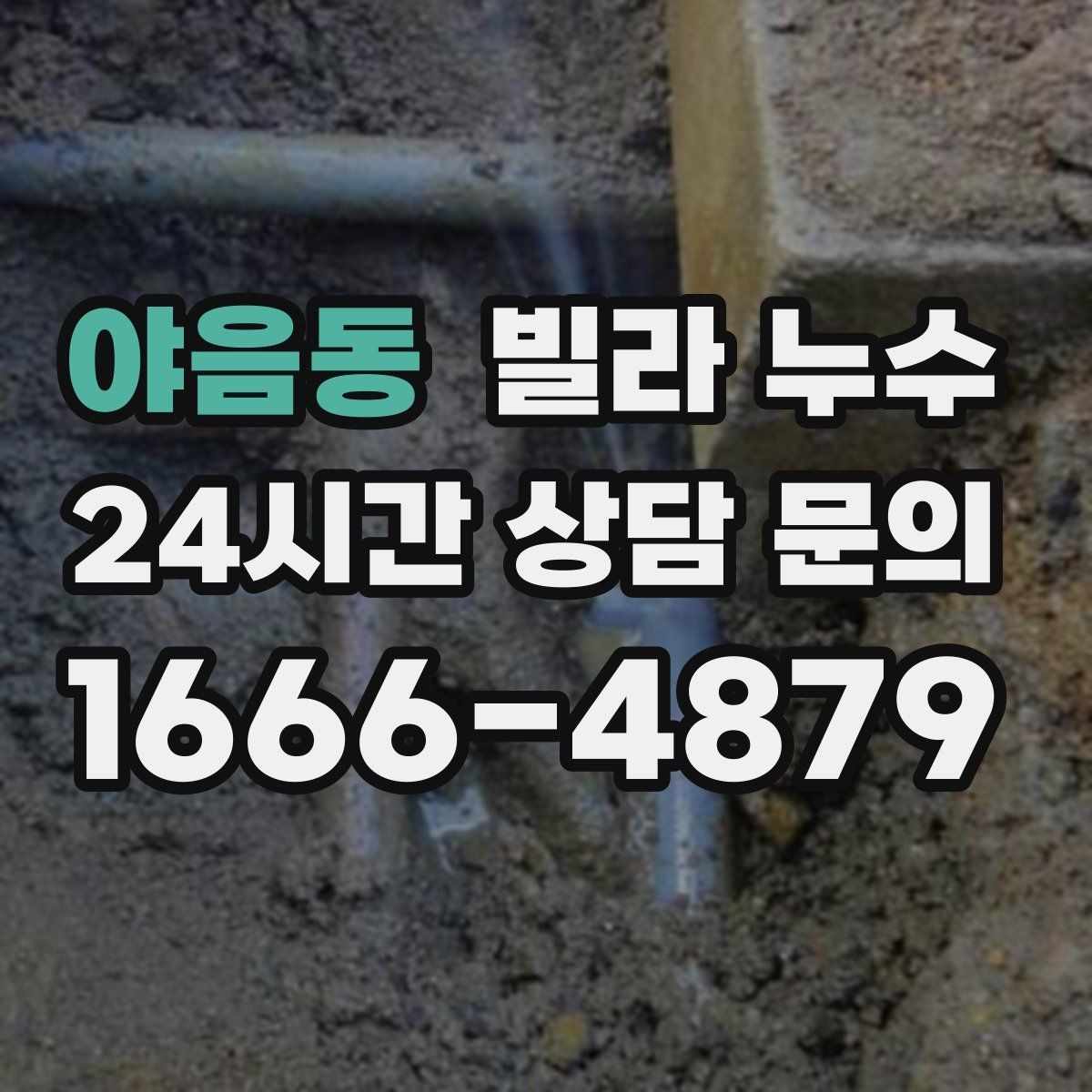 야음동 빌라 누수 배수구 주변이 항상 젖어 있다면