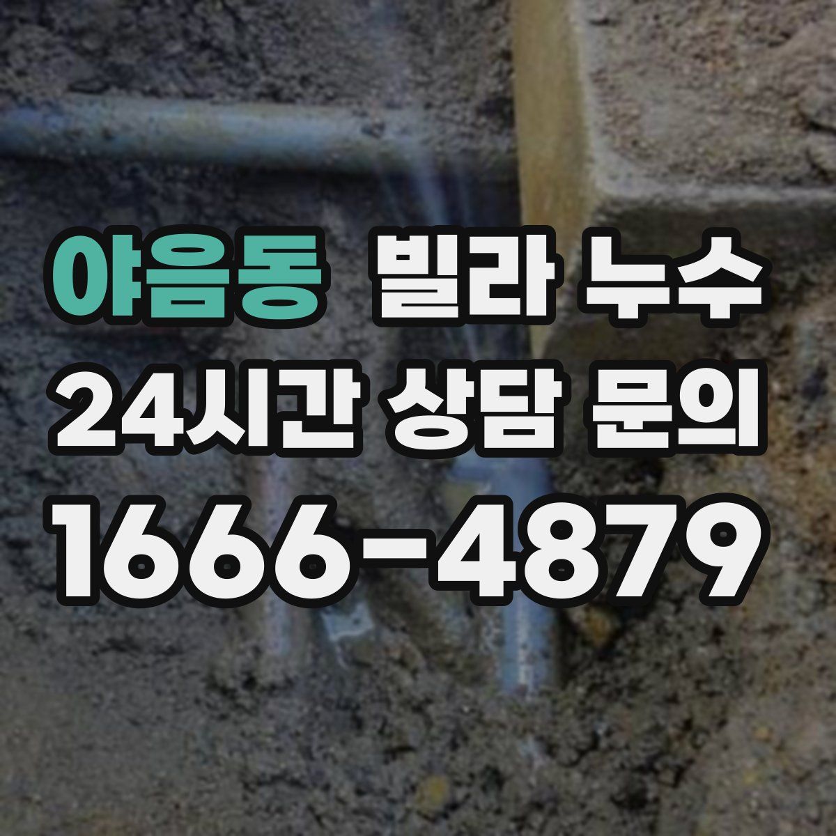 야음동 빌라 누수