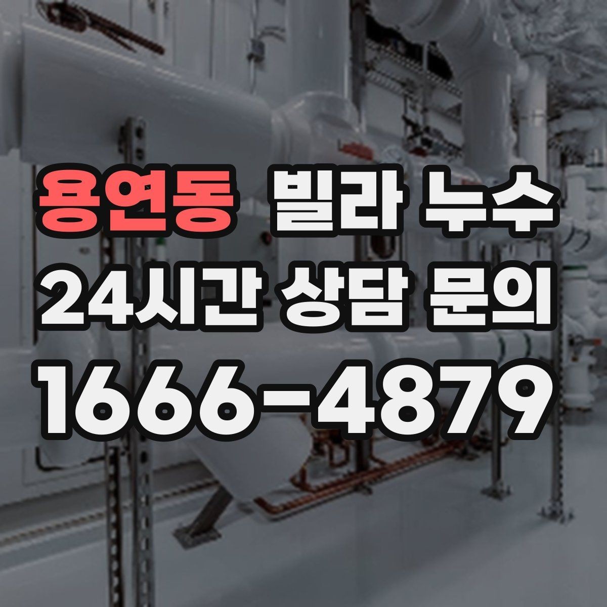 용연동 빌라 누수 벽 뒤편 곰팡이가 반복되면 누수 의심