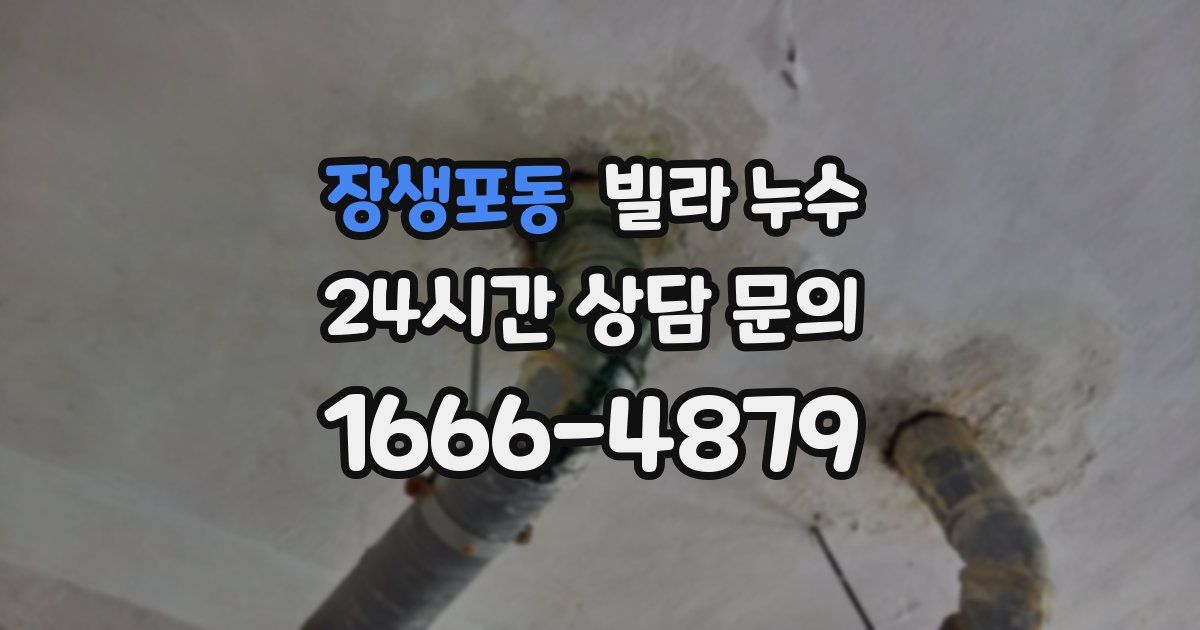 장생포동 빌라 누수