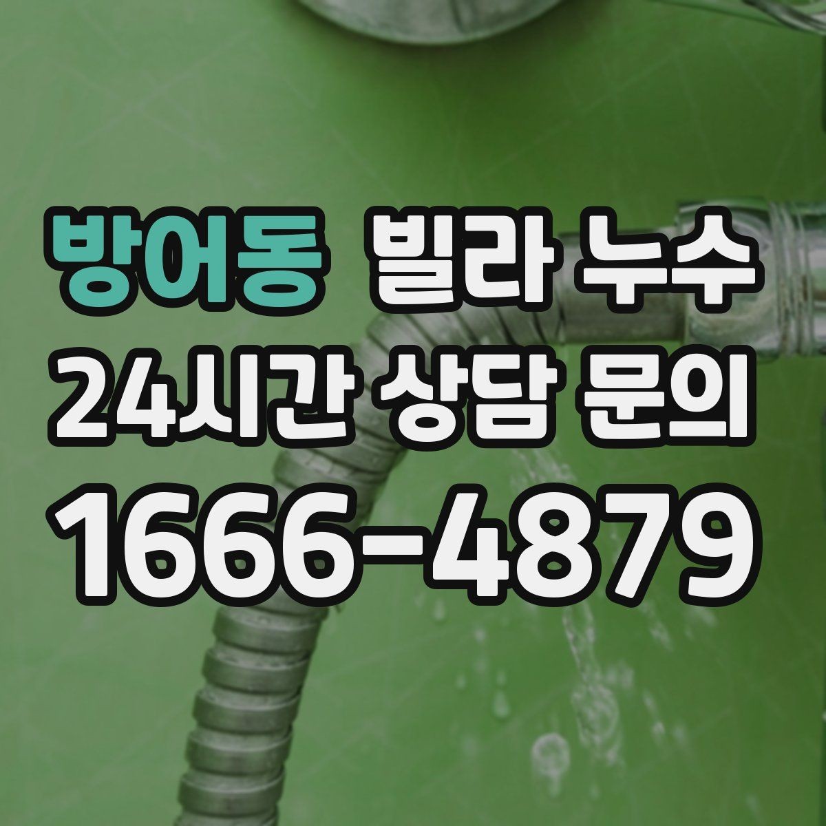 방어동 빌라 누수 욕실 바닥 물고임이 줄지 않으면 위험 신호