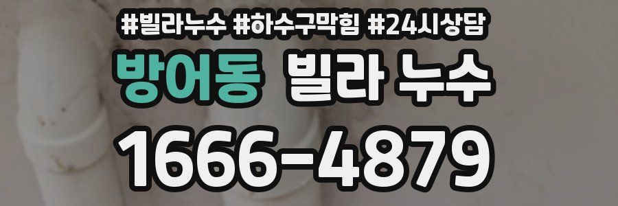 방어동 빌라 누수