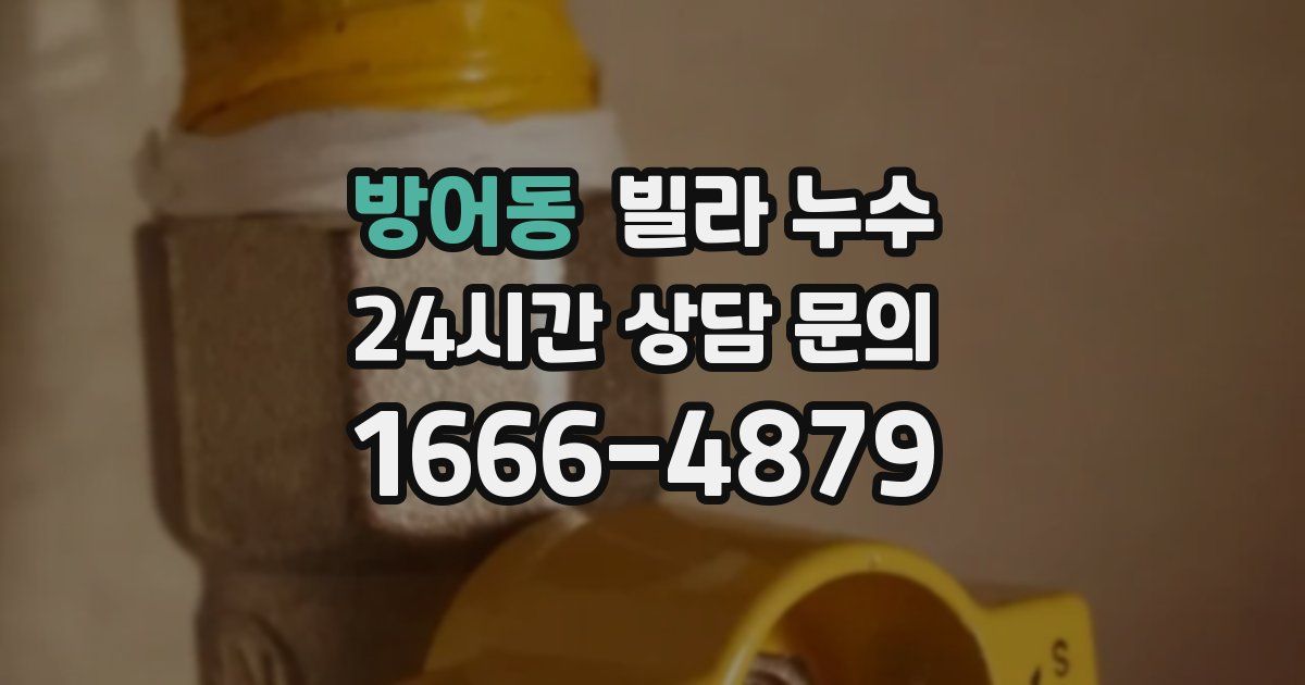 방어동 빌라 누수