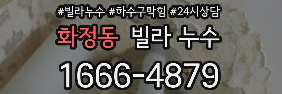 화정동 빌라 누수