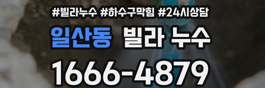 일산동 빌라 누수