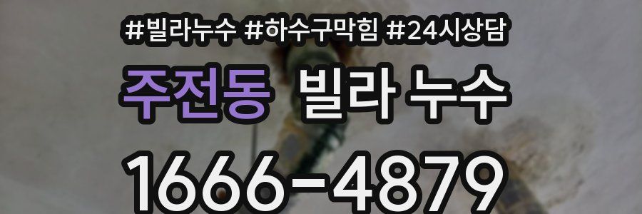 주전동 빌라 누수