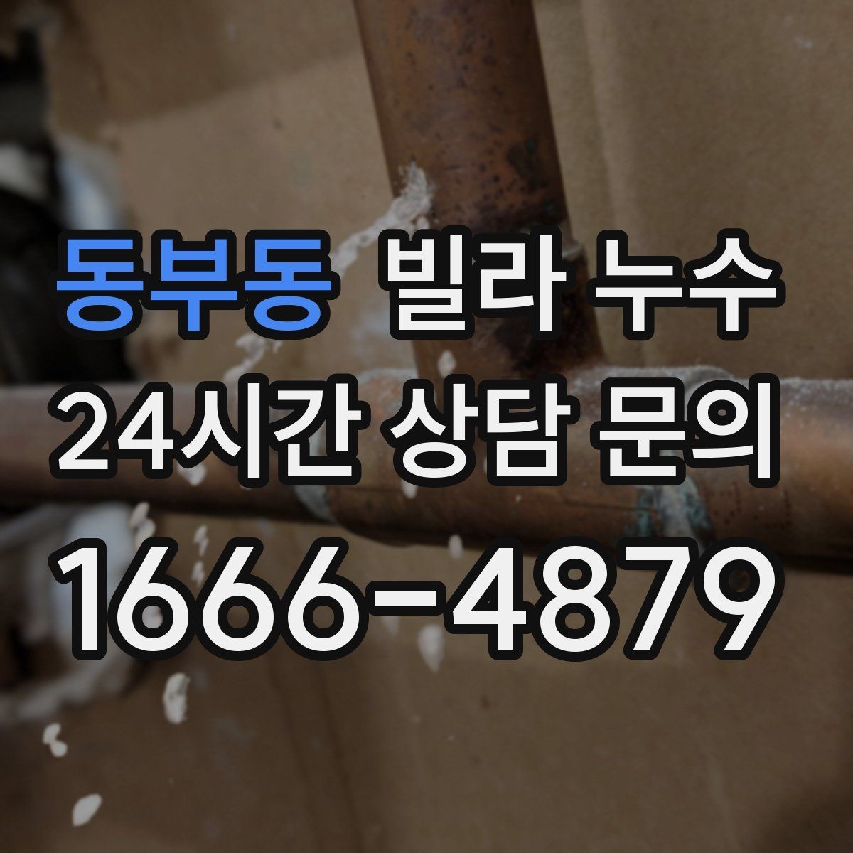 동부동 빌라 누수 보일러 배관 문제로 바닥이 젖을 수 있을까