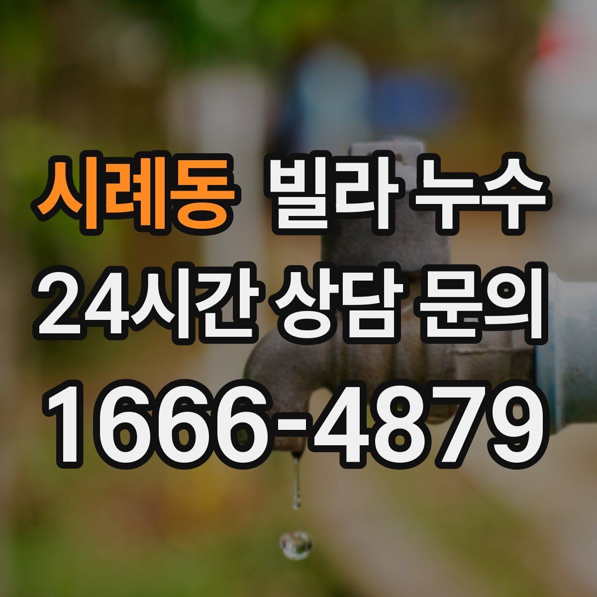 시례동 빌라 누수 욕실 벽 타일 사이 물스밈이 늘었다면