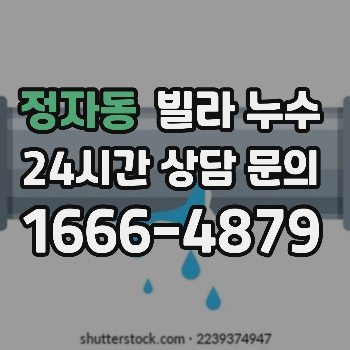 정자동 빌라 누수