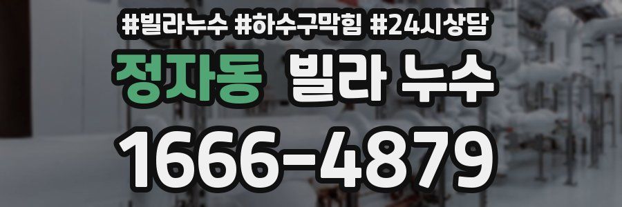 정자동 빌라 누수