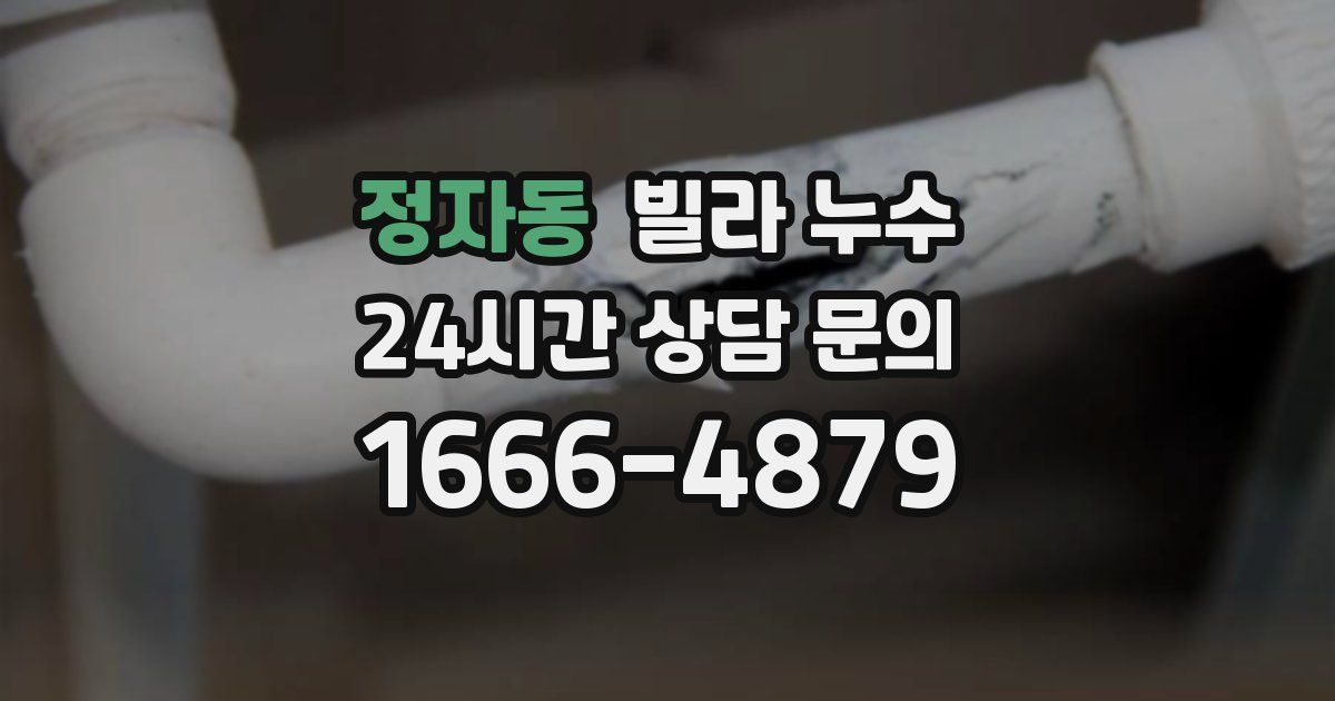 정자동 빌라 누수