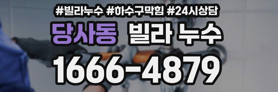 당사동 빌라 누수