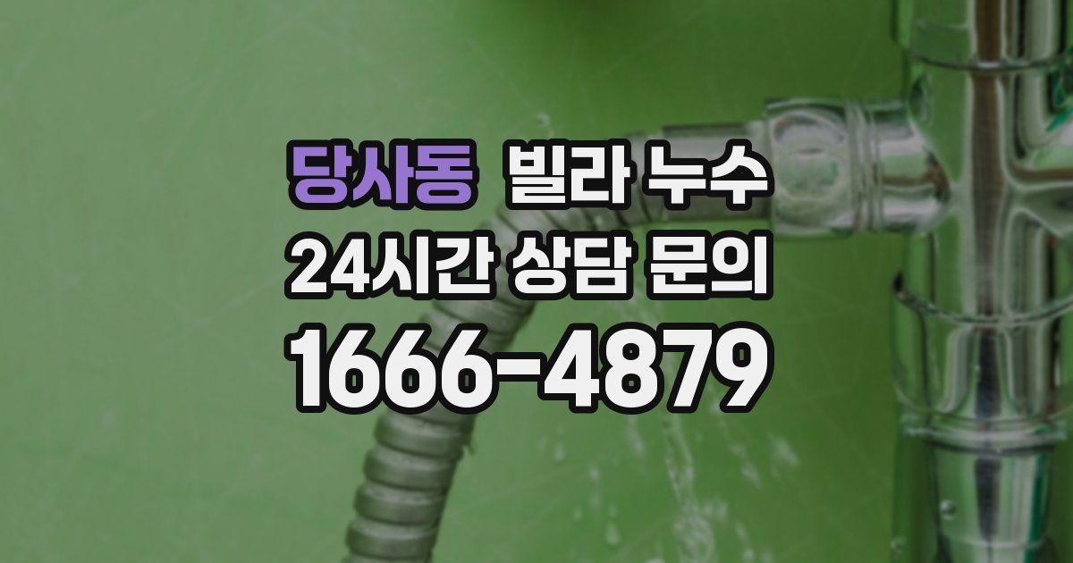 당사동 빌라 누수