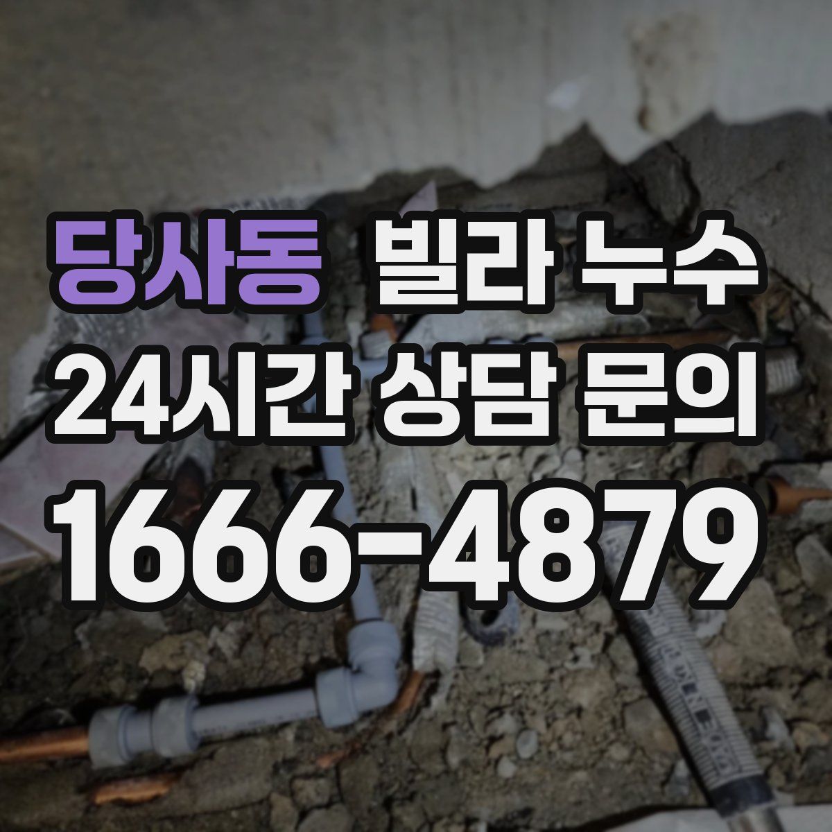 당사동 빌라 누수