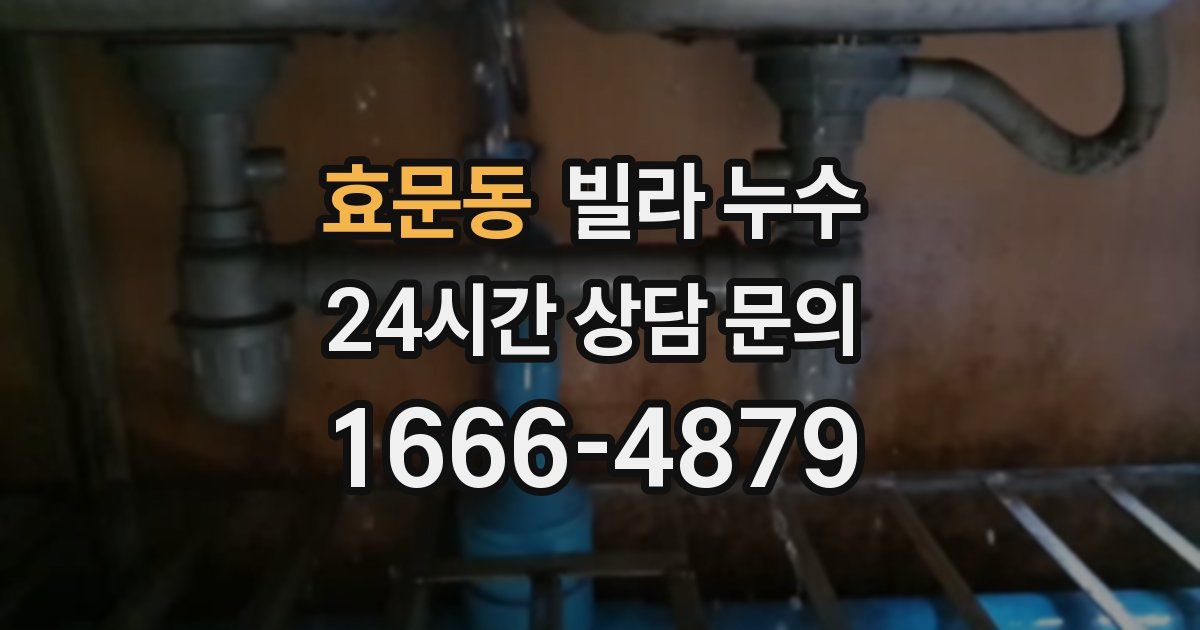 효문동 빌라 누수