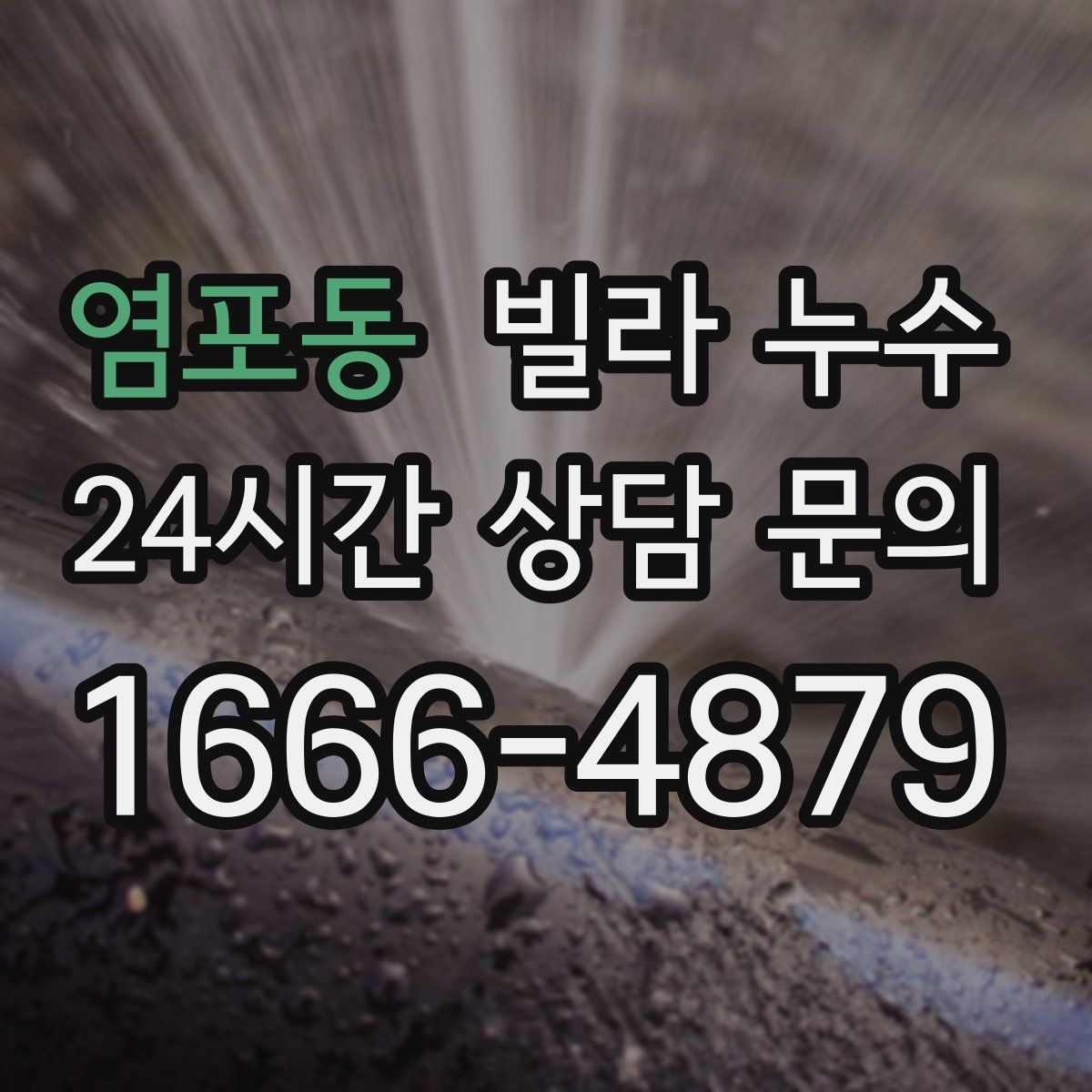 염포동 빌라 누수