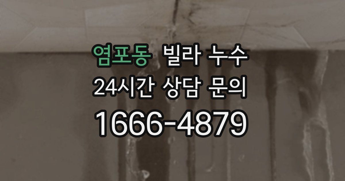 염포동 빌라 누수