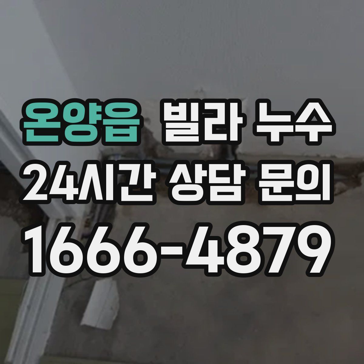 온양읍 빌라 누수