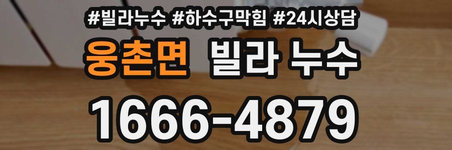 웅촌면 빌라 누수