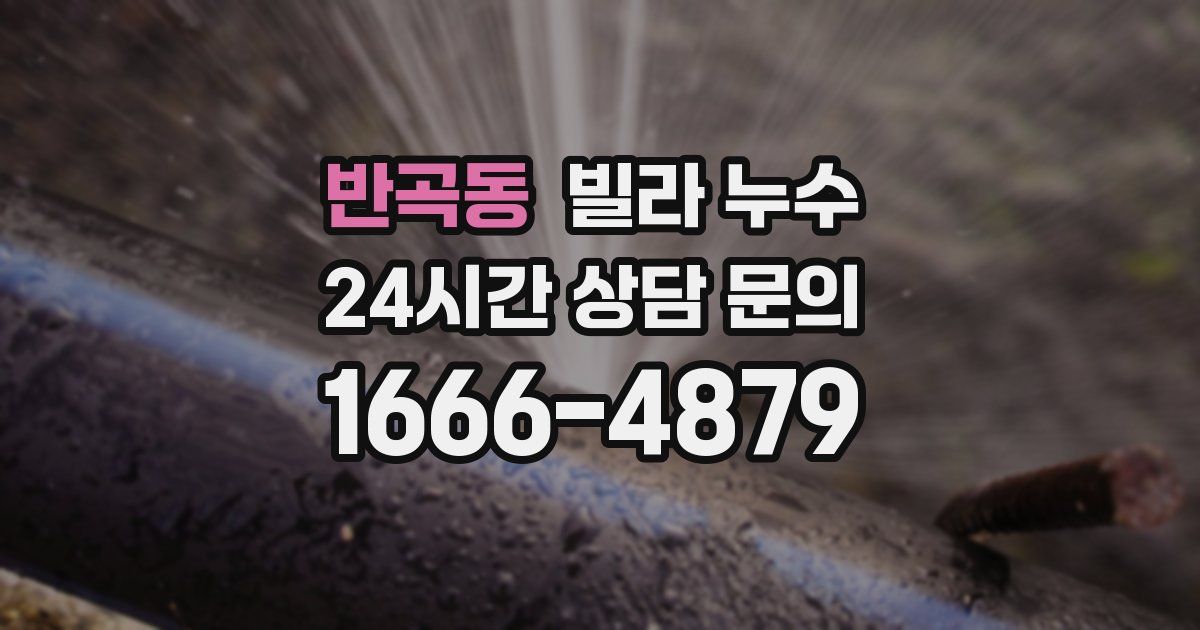반곡동 빌라 누수