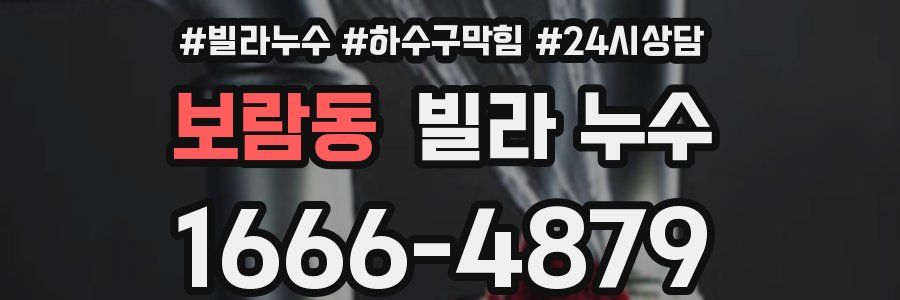 보람동 빌라 누수