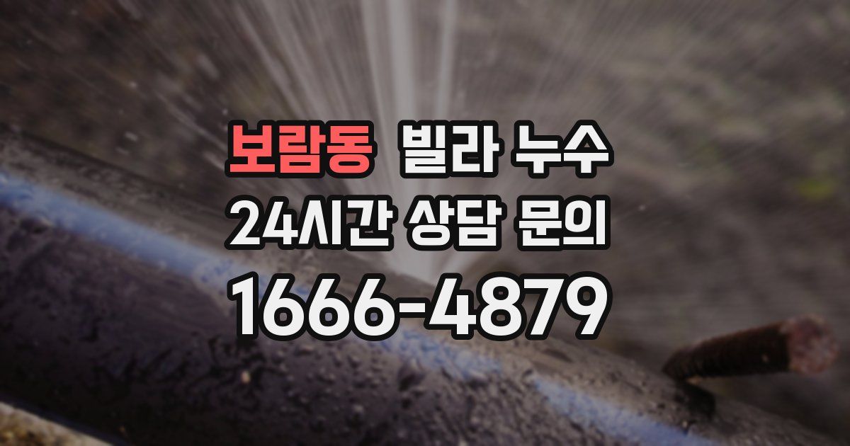 보람동 빌라 누수