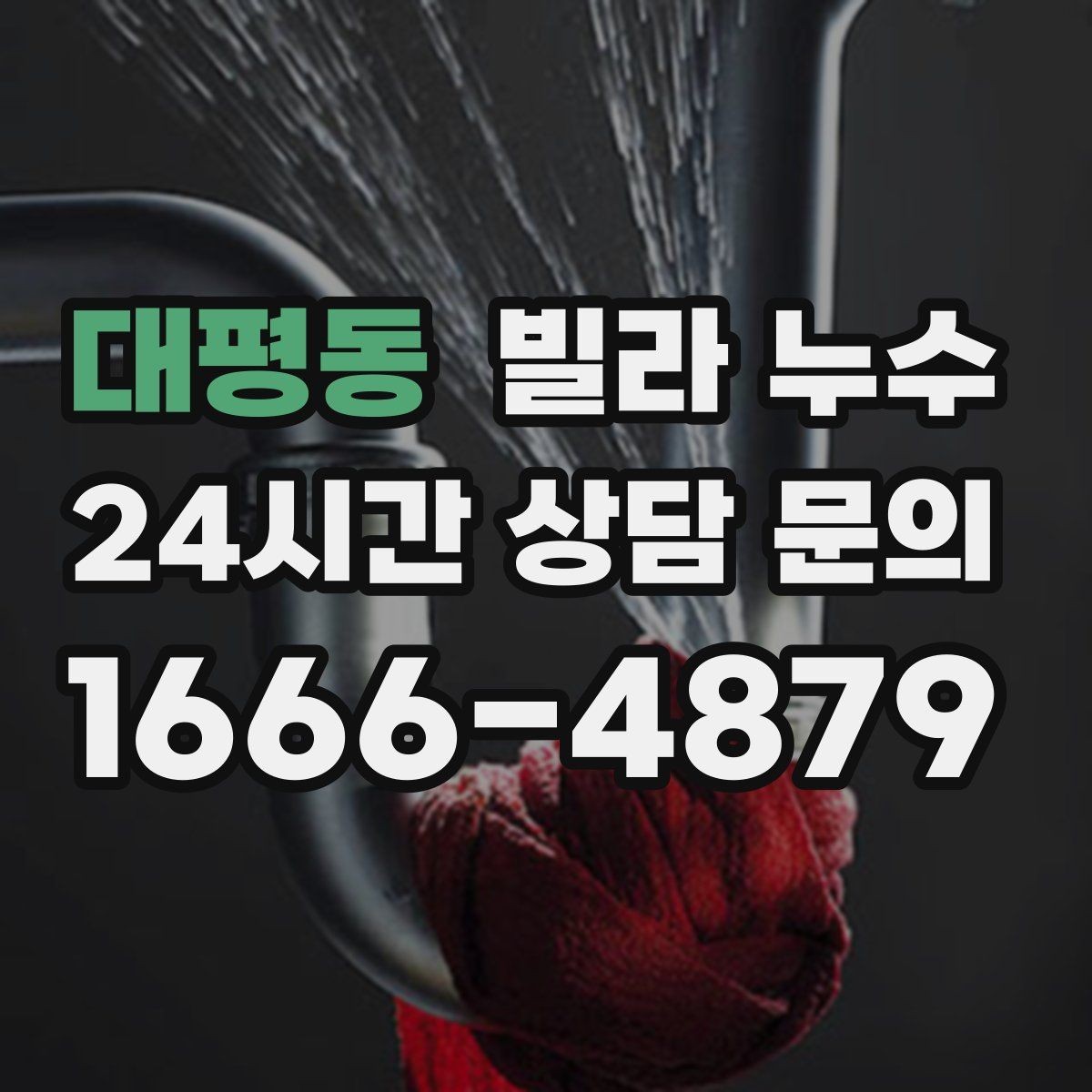 대평동 빌라 누수 배수구 역류가 누수처럼 보일 때