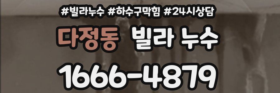 다정동 빌라 누수