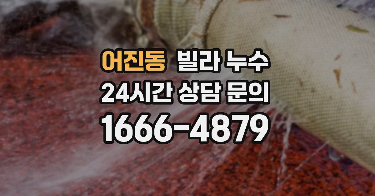 어진동 빌라 누수