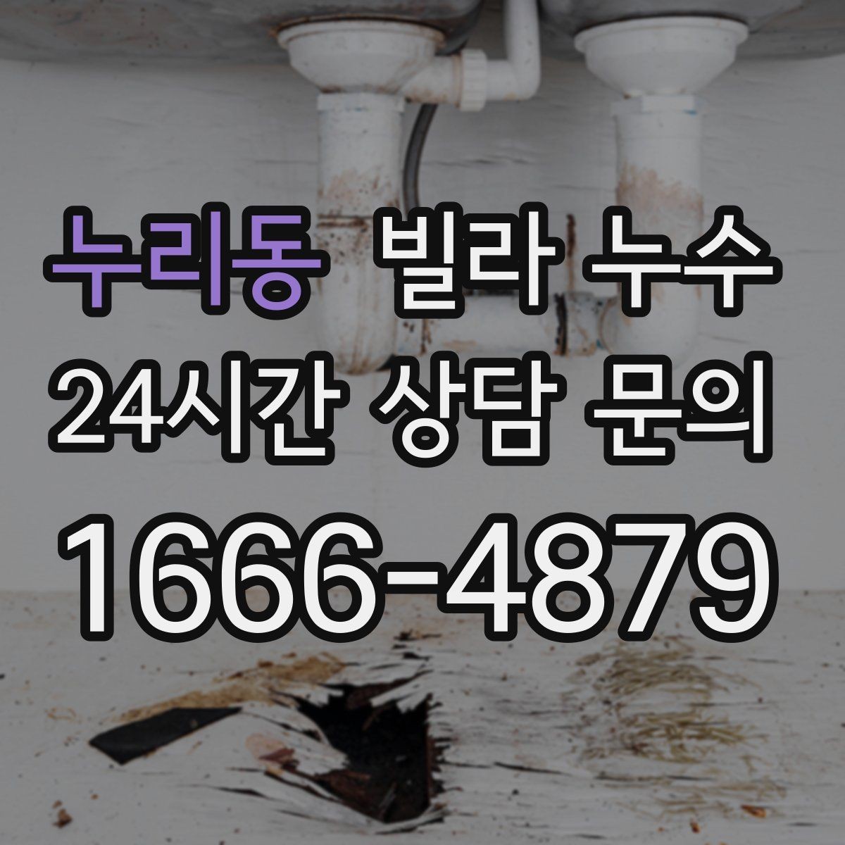 누리동 빌라 누수 샤워 후 바닥 물빠짐이 느리면 위험 신호