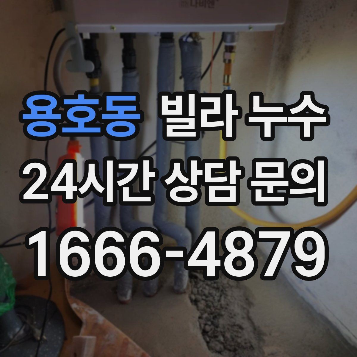 용호동 빌라 누수 벽지에 얼룩이 번질 때 놓치면 안 되는 신호