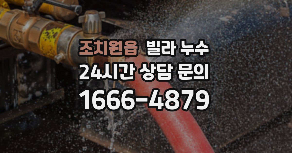 조치원읍 빌라 누수