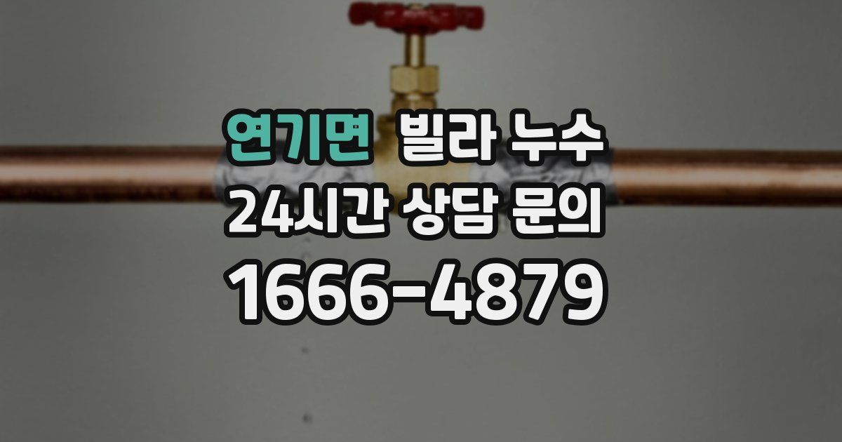 연기면 빌라 누수