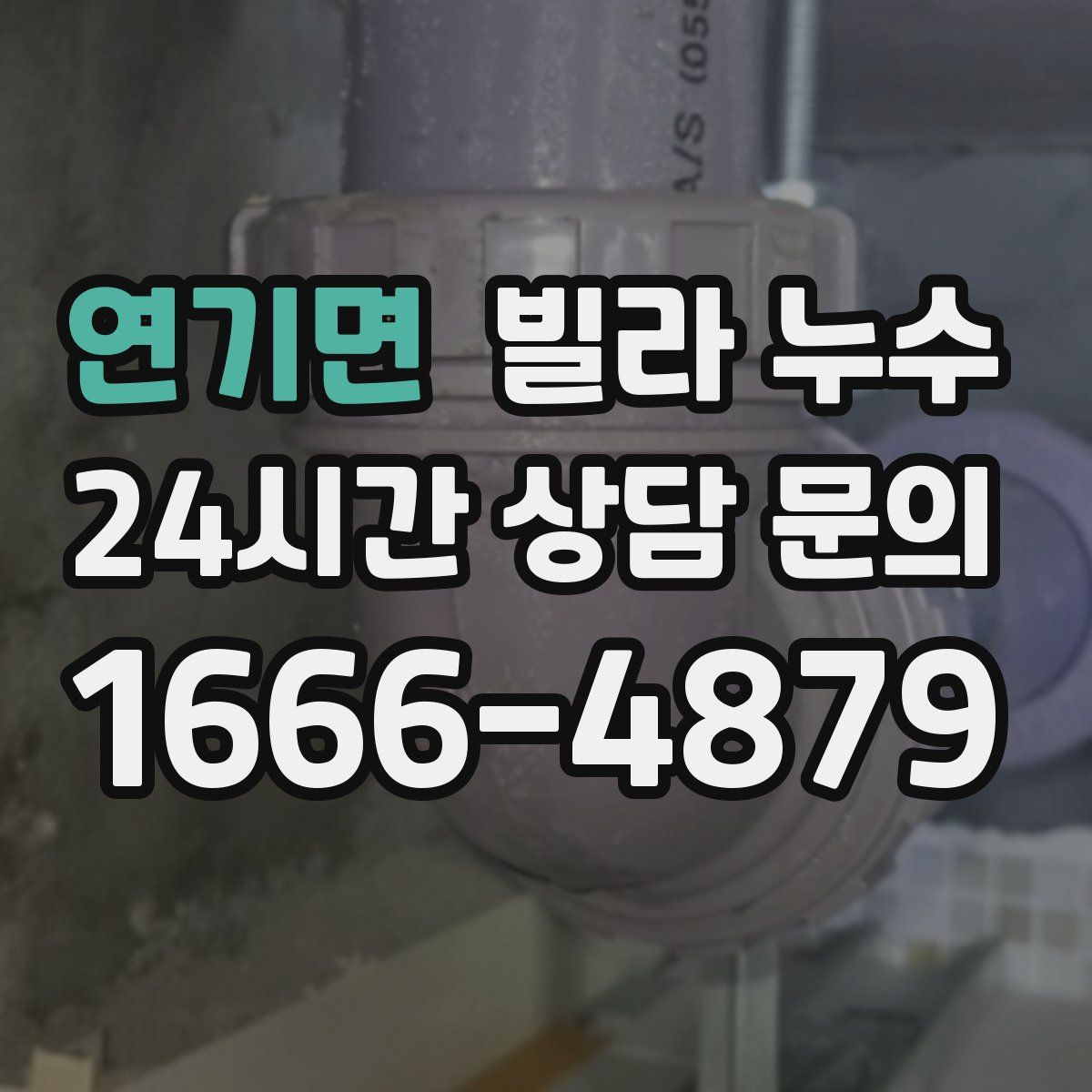 연기면 빌라 누수