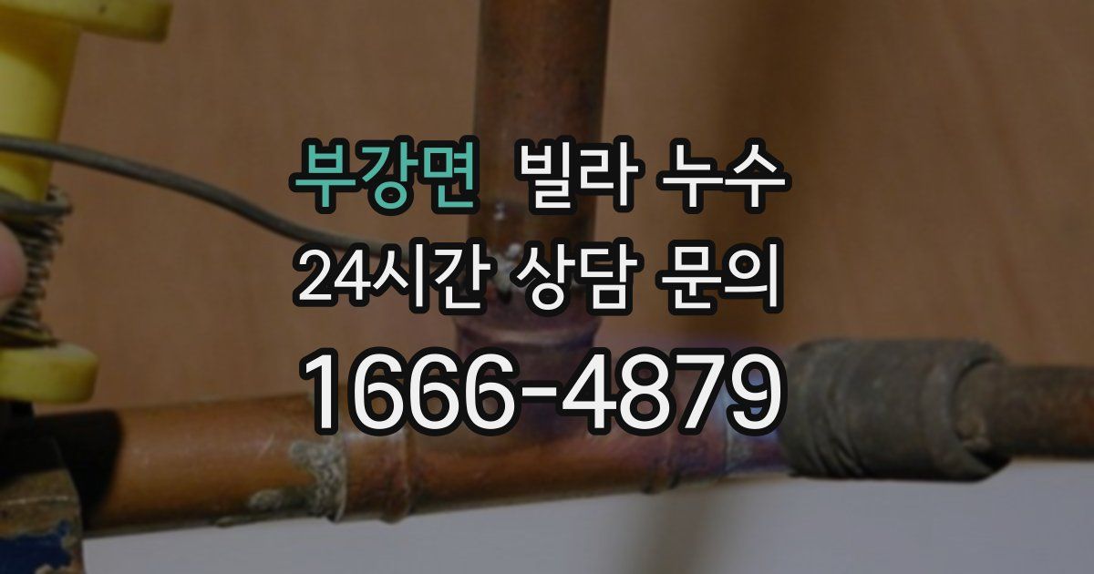 부강면 빌라 누수