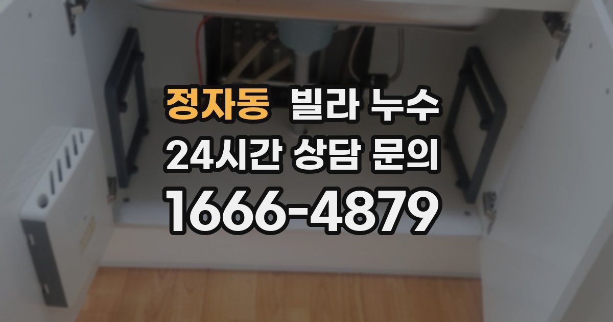 정자동 빌라 누수