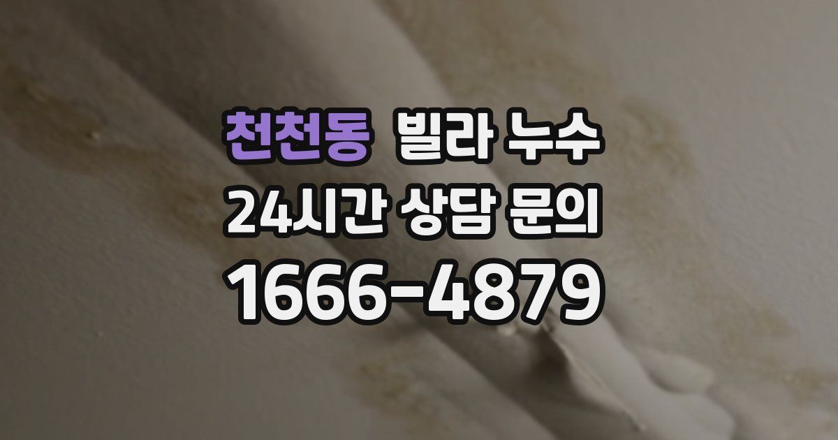 천천동 빌라 누수